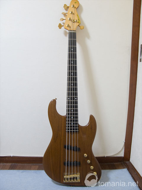 【セール】Moon JJ-5 Walnut 5弦 PGM 国産最高峰 ハイエンド セール】Moon JJ-5 Walnut 5弦 PGM 国産最高峰 ハイエンド - メルカリ