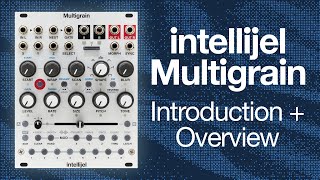 Intellijel Multigrain Stereo Granular Sampler Eurorack Module