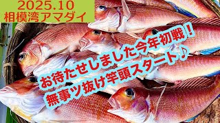 2025.10] Sagami Bay tilefish! The fishing has been going well