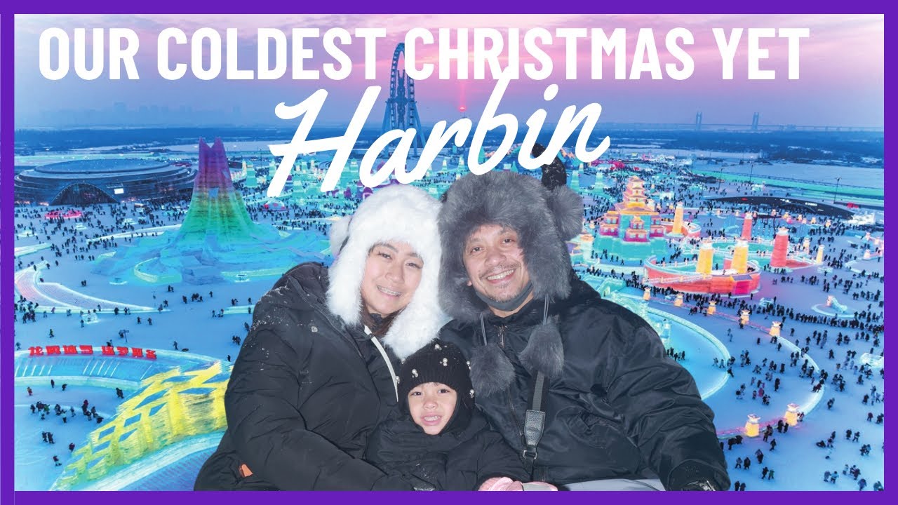 THE SHISHIKUI New items - YouTube