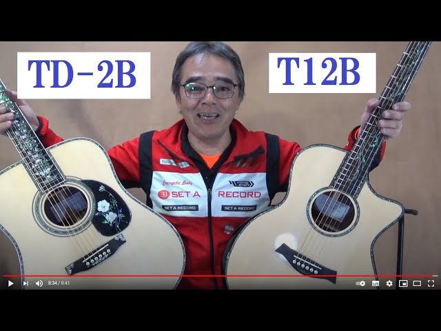 37】Toyaギター メインモデル TD-2B T12B オール単板モデル