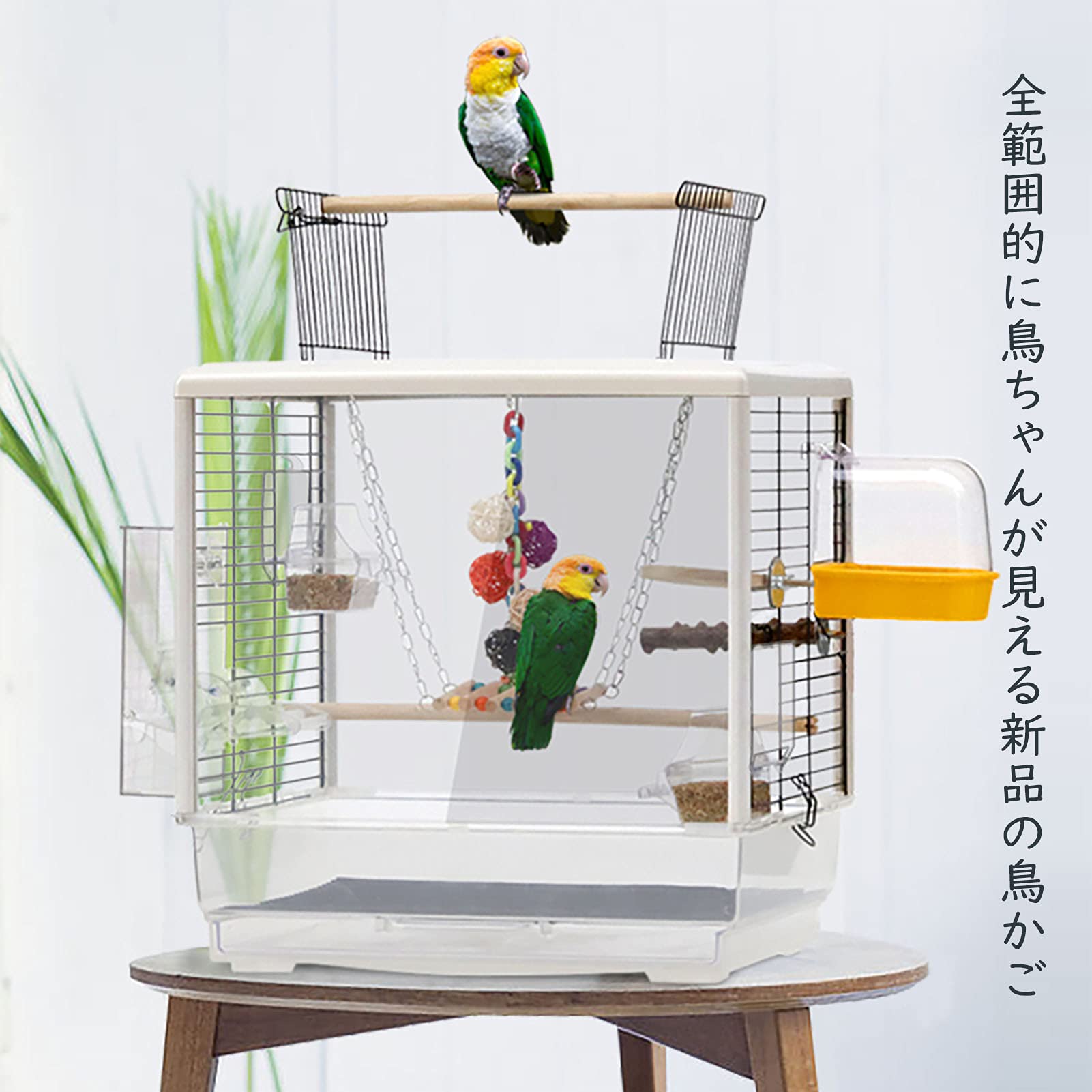 Amazon | Xpossible 鳥かご 鳥ケージ 大型 豪華セット 高級透明